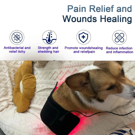 Pet Red Light Therapy Belt for Dogs & Cats