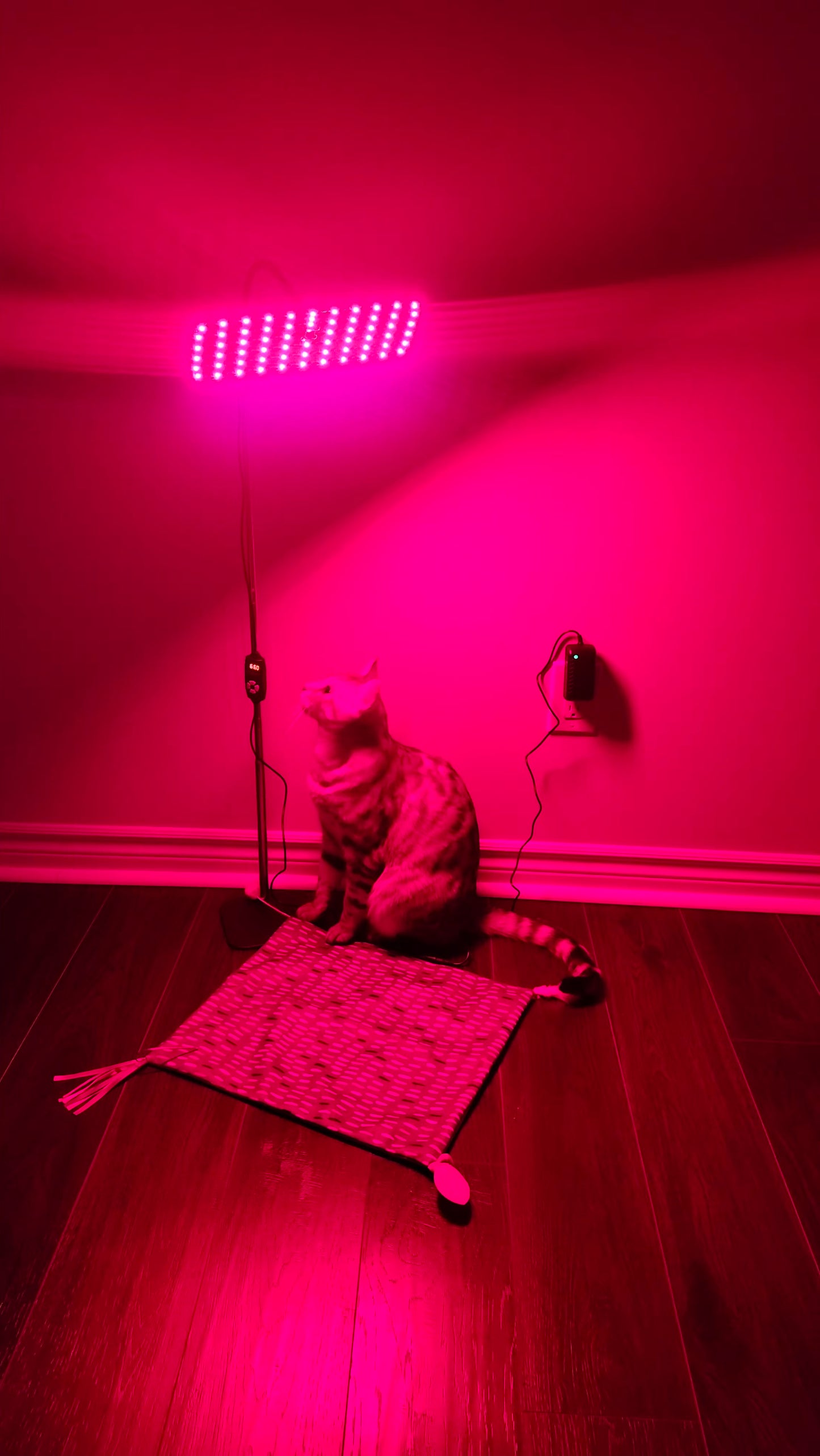 126-LED Pet Red Light Therapy Panel | 660nm & 850nm