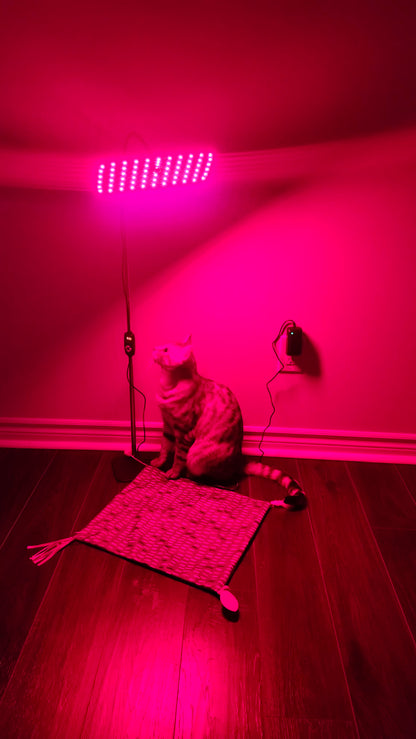 126-LED Pet Red Light Therapy Panel | 660nm & 850nm