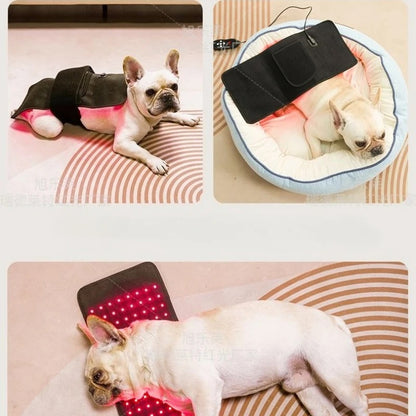 Pet Red Light Therapy Belt for Dogs & Cats