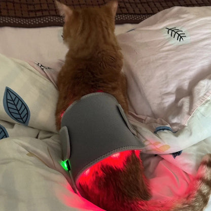 Pet Red Light Therapy Belt for Dogs & Cats