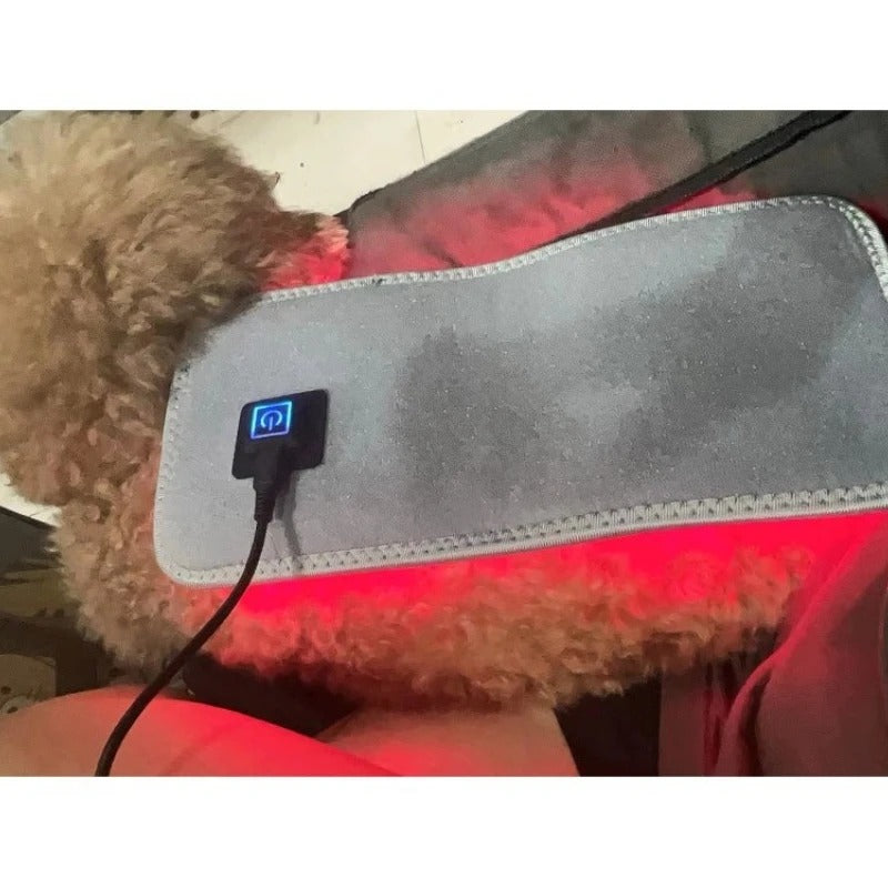 Pet Red Light Therapy Belt for Dogs & Cats