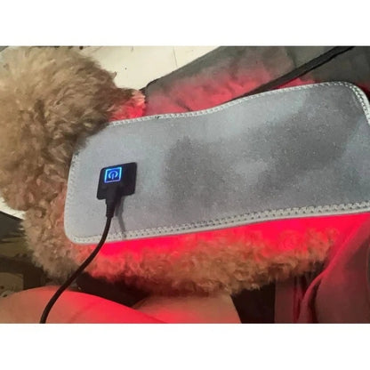 Pet Red Light Therapy Belt for Dogs & Cats