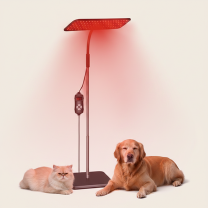 126-LED Pet Red Light Therapy Panel | 660nm & 850nm
